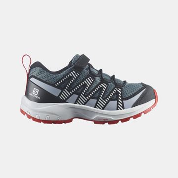 Picture of Salomon - XA PRO V8 K stormy weather
